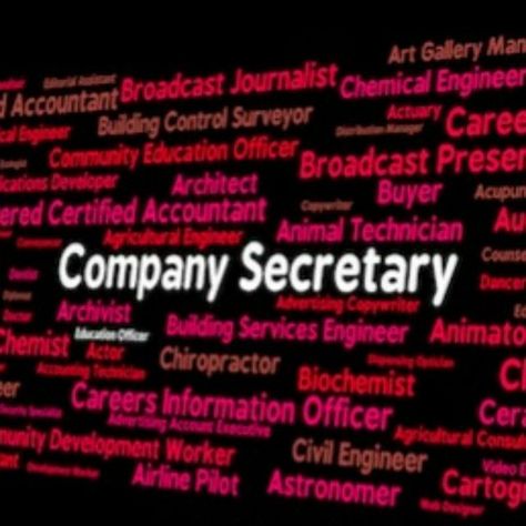 Cs Company Secretary Aesthetic, Company Secretary Quotes, Company Secretary Student Aesthetic, Company Secretary Wallpaper, Company Secretary Aesthetic, Nandini Sharma, Secretary Quotes, Accounting Jokes, Copywriting Advertising