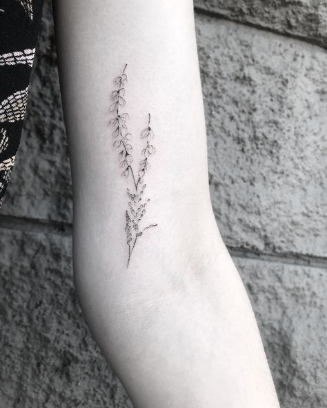 Äriel Niräkära on Instagram: “Some tiny Heather Sprigs today! Thanks Katelyn 🙏🏼” Bell Heather Tattoo, Heather Plant Tattoo, Heather Flower Tattoo, Heather Tattoo, Delicate Flower Tattoo, Heather Flower, Heather Plant, Indigo Flower, Indigo Plant