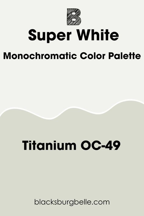 Benjamin Moore Titanium OC-49: Titanium is a bright gray with lovely green and blue undertones. Most time, the paint color looks cozy with strong green tones. It has a lower LRV of 68.41, which gives a monochromatic look when you pair the paint color with Super White. Titanium Benjamin Moore, Benjamin Moore Titanium, Benjamin Moore Horizon, Benjamin Moore Super White, Hale Navy Benjamin Moore, Sherwin Williams Extra White, Benjamin Moore White, Monochromatic Color Palette, Hale Navy