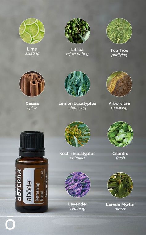 Abode Doterra, Essential Oil Education, Doterra Business, Essential Oils 101, Doterra Essential Oils Recipes, Doterra Wellness Advocate, Eucalyptus Oil, Doterra Oils, Essential Oil Blend