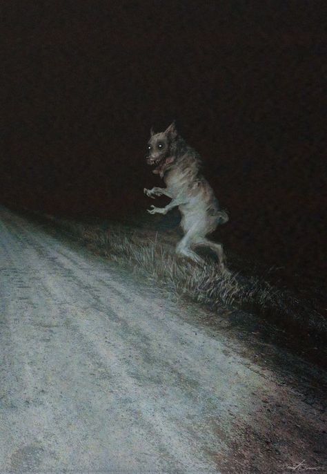 Ps2 Horror Aesthetic, Cryptid Photos, Folklore Horror, Memes Birthday Funny, Beast Of Bray Road, Existential Horror, Animal Horror, Scariest Monsters, Forest Horror