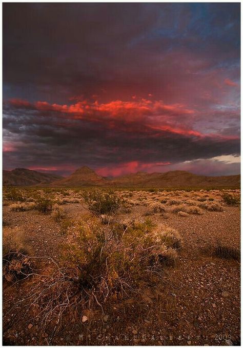 Mojave Desert,Nevada Story Settings, Photography Bucket List, Dark Desert, Desert Highway, Nevada Travel, Vacation Photography, Desert Life, Mojave Desert, Travel Channel