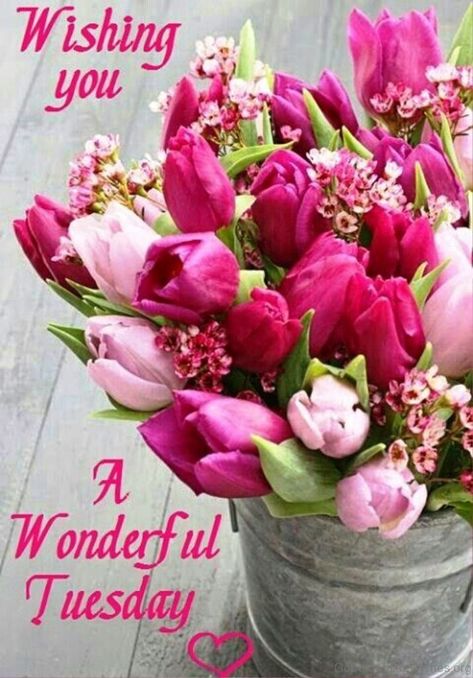 Happy Tuesday Motivation, Happy Tuesday Blessings, Blessed Tuesday, Happy Tuesday Morning, Tuesday Greetings, Tuesday Blessings, Morning Tuesday, Pink Flower Arrangements, Happy Birthday Woman