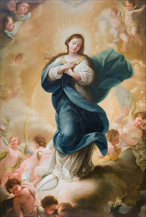 Our Lady Of Immaculate Conception, Virgin Mary Art, Mama Mary, Queen Of Heaven, Devi Durga, Immaculate Conception, Classic Image, Blessed Virgin, Blessed Virgin Mary