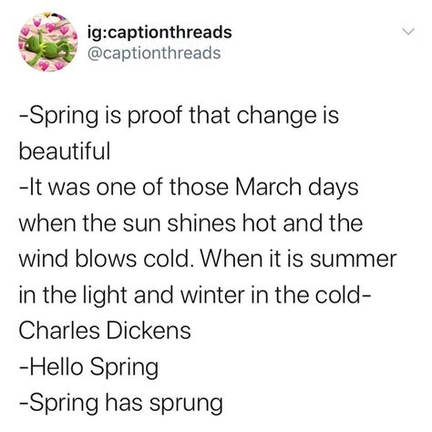 Spring Captions, Seasons Poem, Short Instagram Captions, Spring Quotes, Aesthetic Captions, Insta Captions, Ig Captions, Instagram Words, Nothing But Flowers