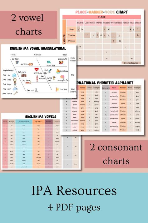 This resource includes 4 PDF pages with loaded value! Half of the bundle includes charts with IPA consonants, and the other half with IPA vowels. There are 2 different ways to represent the IPA symbols, with example words. It is great study material for aspiring SLPs and SLPAs. Also, it can be used as a resource for assessment and transcribing speech samples. Ipa Chart, Vowel Chart, Long Vowel Words, Phonetic Alphabet, Long Vowel, Long Vowels, Grad Student, Study Material, The Other Half