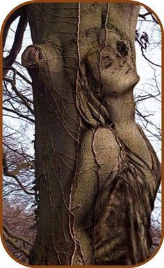 Tre Kunst, Weird Trees, Tree People, Tree Faces, Tree Carving, Unique Trees, Tree Sculpture, Wood Carving Art, Land Art