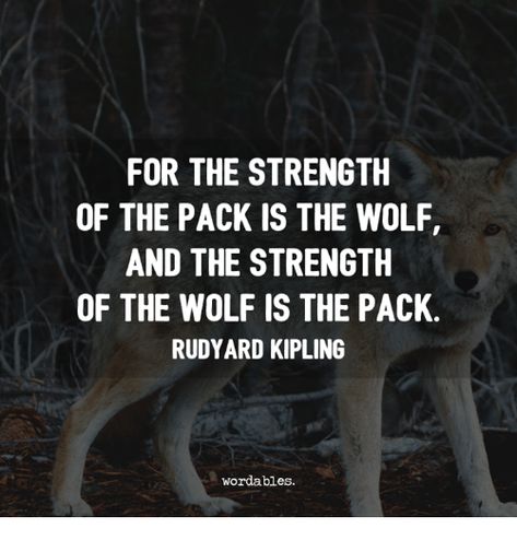 Rudyard Kipling Quotes, Wolf Pack Quotes, Come Home To Yourself, Inspirational Animal Quotes, Lone Wolf Quotes, Tattoo Wolf, See Things Differently, Discover Quotes, Wolf Quotes