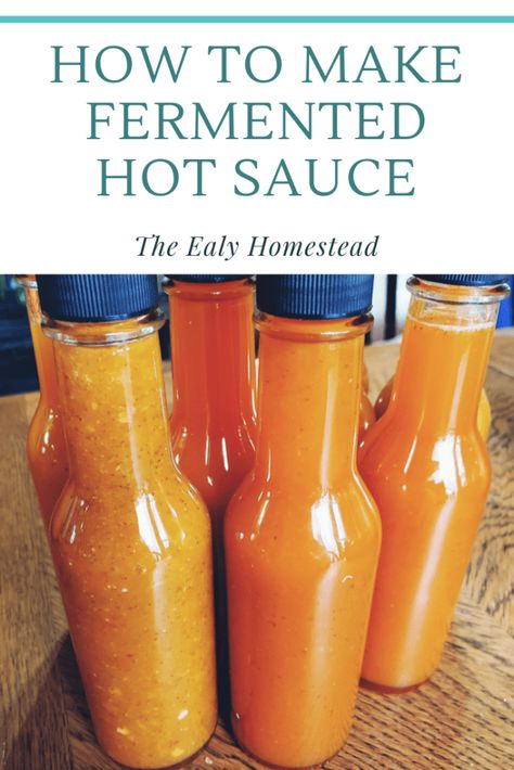 Fermented Hot Sauce Recipe, Food Fermentation, Fermented Hot Sauce, Fermented Recipes, Fermenting Foods, Hot Sauce Recipe, App Form, Homemade Hot Sauce, Habanero Hot Sauce