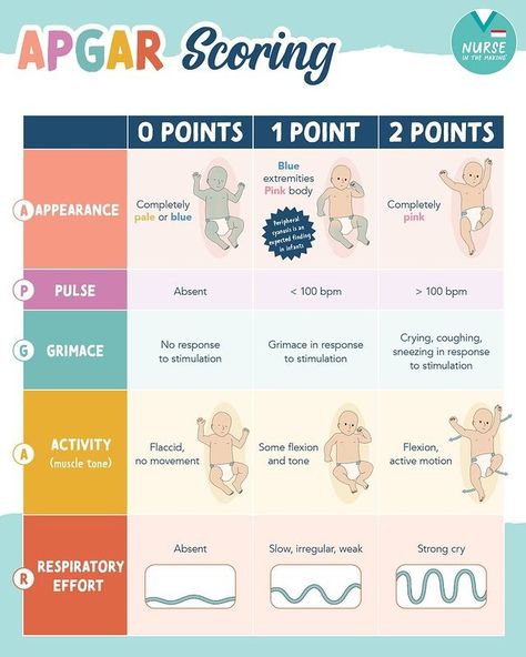 Kristine Tuttle | APGAR Scoring👶🍼 ⭐️Scores are assessed at 1 min & 5 mins of life ⭐️Assessment tool used to determine the newborn’s general condition &… | Instagram Apgar Score, Stimulation Activities, Nursing School Notes, Assessment Tools, Pink Body, Nursing Notes, Muscle Tone, School Notes, Mother And Baby