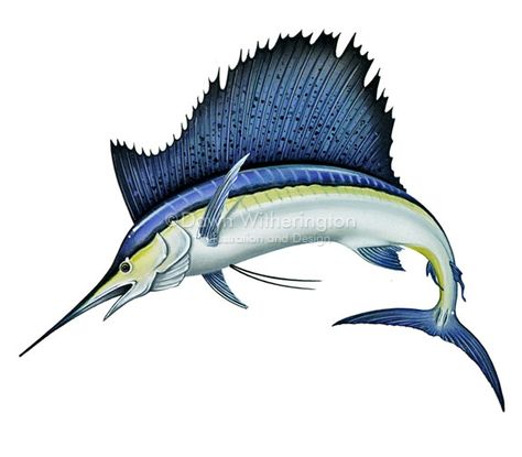 Sailfish Drawing, Sailfish Illustration, Sailfish Painting, Sailfish Tattoo, Sailfish Art, Sail Fish, Palm Frond Art, Eagle Pictures, 3 Fish