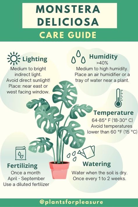 Care Guide Card, Monstera Deliciosa Care, Indoor Plant Care Guide, Monstera Plant Care, Household Plants, Plant Care Houseplant, Plant Book, Inside Plants, Indoor Plant Care