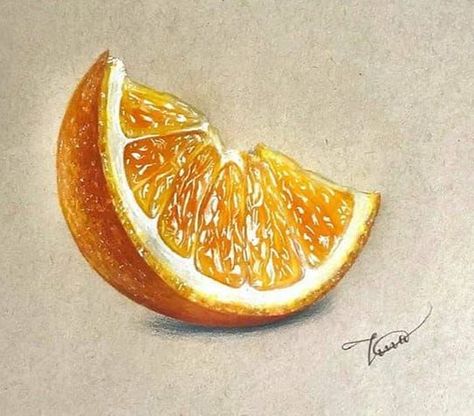 Colored Pencil Artwork Ideas, Fruit Art Drawings, Colored Pencil Art Projects, Color Pencil Sketch, Prismacolor Art, Fruits Drawing, Color Drawing Art, Colored Pencil Artwork, Orange Slice