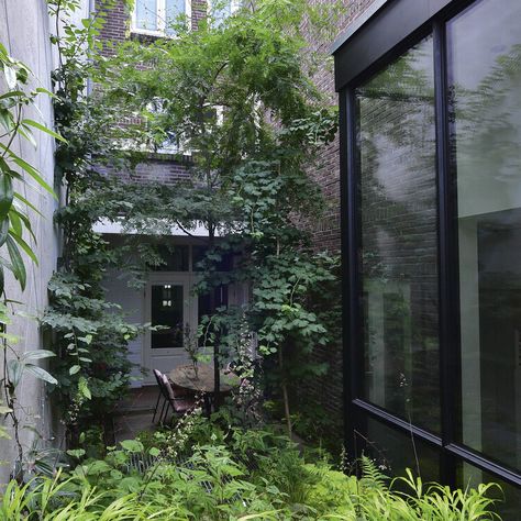 Small, dark garden? Get inspired by this shady city space, transformed with clever design and smart planting — Gardens Illustrated Garden Shadow, Gardens Illustrated, Dark Garden, City Garden, Clever Design, Shade Garden, Small Garden, Bristol, Planting