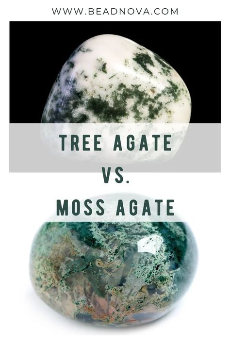 The main visual difference between tree and moss agate is transparency. Second, as their names suggest, moss agate has mossy inclusions, while tree agate has lovely branch formations. Crystals Energy, Spiritual Awakening Signs, Tree Agate, Gemstone Meanings, Crystal Meanings, Agate Crystal, Energy Crystals, Gemstone Healing, Healing Crystals