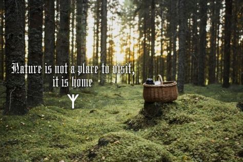 Return To Nature, Wood Nymph, Forest Nymph Art, Gold Skies, Body Is A Temple, Family Values, Get Outdoors, Photo Quotes, Find Beauty