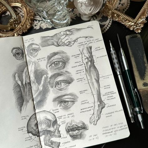 Anatomy sketches and studies This is what my pinterest feed looks like lately 😂 . . . . . . . #anatomysketch #anatomydrawing #anatomyart… | Instagram Art Student Aesthetic, Pinterest Feed, Gcse Art Sketchbook, Human Anatomy Drawing, Anatomy Sketches, Drawing Studies, Anatomy Study, Anatomy Drawing, Art Prompts