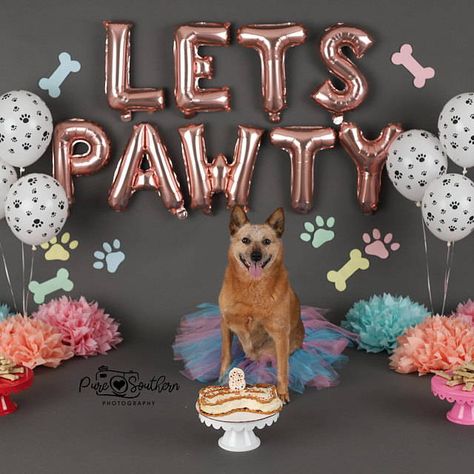 Easy Dog Birthday Decorations That Show Love！ – Party Eight Dog Birthday Party Pets, Dogs Birthday Party, 18th Ideas, Lets Pawty, Puppy Birthday Party, Dog First Birthday, Dog Themed Birthday Party, Dogs Birthday, Puppy Birthday Parties