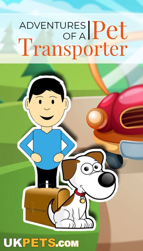 The insistent pull of wanderlust coupled with her deep adoration for animals paved Merebeth Veit’s way to becoming a pet transporter. #pet #transporter #animal Pet Transport, Pet Sitting, Canine Companions, Practical Advice, Big Heart, Dog Owners, Pet Travel, Dogs And Puppies, Affirmations