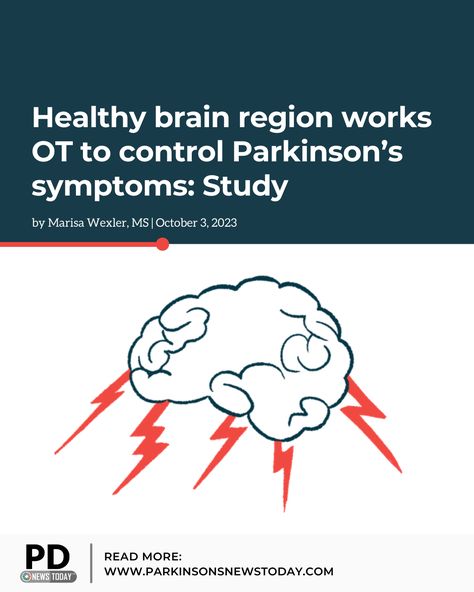 Findings from the Netherlands-based study helps address why the cerebral cortex is so important in the management of Parkinson’s. #parkinsons #parkinsonsdisease #parkinsonsresearch #parkinsonstreatment Spinal Muscular Atrophy, Deep Brain Stimulation, Transcranial Magnetic Stimulation, Cerebral Cortex, Brain Structure, Brain Stimulation, Disease Symptoms, Nerve Cell, Healthy Brain