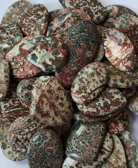 Leopard Skin Jasper, Leopard Skin, Gemstone Healing, Rocks And Minerals, Chocolate Cookie, Stones And Crystals, Fossil, Gemstones, Crystals