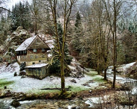 Black Forest Photograph, Digital Download, Forest Photography, Nature Photo, Instant Download, Green Forest, Whimsical Fairytale Forest German Cottage, Fairytale Forest, Germany Vacation, Simple Interior Design, Abandoned Things, Cottage Interior, Enchanted Home, Forest Photography, Green Forest