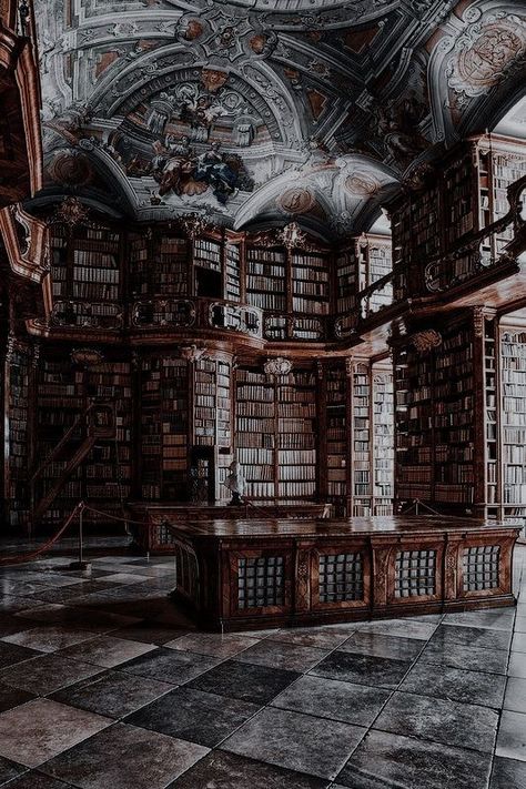 Fem Percy Jackson, T Challa, Medieval Aesthetic, Dream Library, Beautiful Library, Castle Aesthetic, Books Library, Old Library, Library Aesthetic