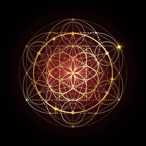 Sacred Geometry - Platonic solids the secret building blocks – Fairy Leonie's Crystals Flower Of Life Meaning, Flower Of Life Tattoo, Regular Polygon, Flower Of Life Symbol, Platonic Solids, Geometry In Nature, Sacred Geometric, Platonic Solid, Seed Of Life