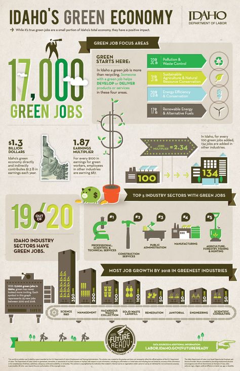 Economy Infographic, Green Economy, Infographic Layout, Green Jobs, Infographic Inspiration, Research Poster, Data Visualization Design, Study Flashcards, Job Help