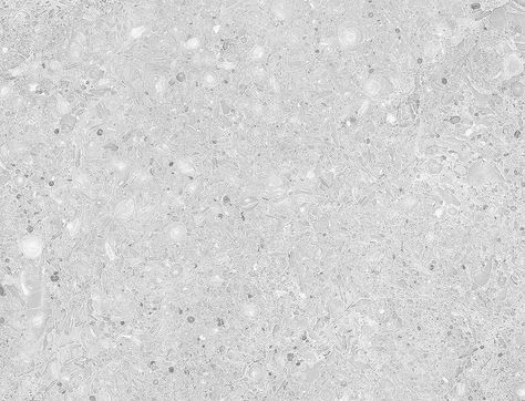 Grey Terrazzo Texture, Terrazzo Texture Seamless, Olympia Tile, Terrazzo Texture, Terrazzo Design, Happy Birthday Wishes Quotes, Material Textures, Aesthetic Rooms, Artificial Stone