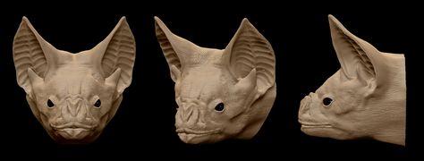 vampire bat face by RobinPulpatt on DeviantArt Bat Side Profile, Vampire Bat Face, Vampire Bat Skull, Bat Nose, Bat Head, Side View Of Face, Bat Face, Hunter Dog, Wings Art