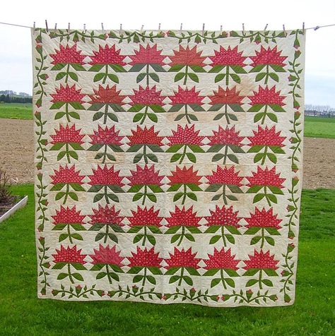 Antique 19th Century COLONIAL TULIPS Pattern Appliqued Quilt from Lancaster Pennsylvania Amish Quilts Pennsylvania Dutch, Dutch Quilt, Tulip Quilt, Tulips Pattern, Green Quilts, Vintage Quilts Antiques, Lancaster County Pennsylvania, Quilt Applique, Amish Quilts