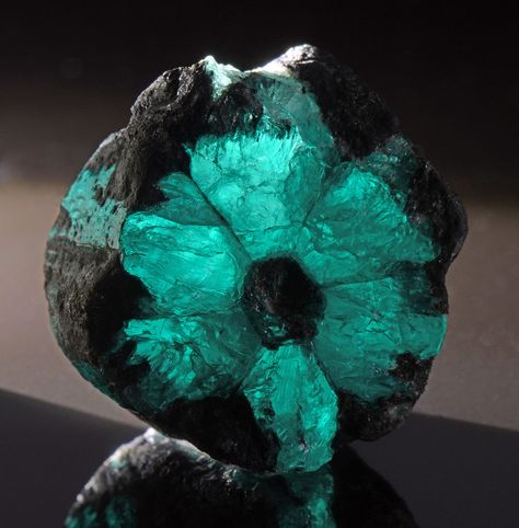 Trapiche Emeralds: A Symphony of Geology Captured in Crystal Form Geology Rocks Mineral, Geology Rocks, Beautiful Bugs, Cool Rocks, Stone Feature, Ancient Aliens, Mineral Stone, Types Of Gemstones, Minerals And Gemstones