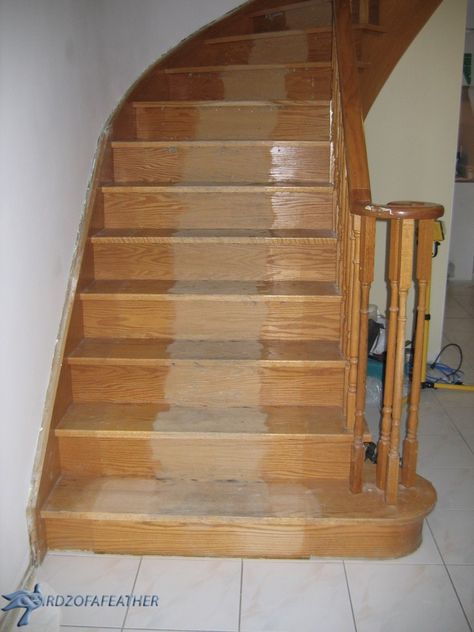 Staircase Makeover | How to strip and refinish a staircase | #DIY #stairsmakeover #staircaseideas #staircase #stairrailingideas | BirdzofaFeather.ca Stained Staircase, Staircase Diy, Refinish Stairs, Stair Railing Makeover, Redo Stairs, Tiled Staircase, Painted Staircases, Stair Banister, Hardwood Stairs