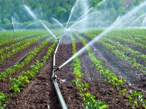 Irrigation Methods, Agriculture Business, Sprinkler Irrigation, Drip Irrigation, Water Resources, Economic Development, Irrigation System, Water Supply, Land Scape