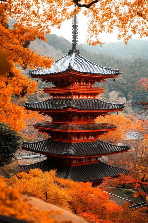 Explore Kyoto's Stunning Autumn Leaves 🍁 Kyoto in autumn is a sight to behold with its beautiful fall foliage. Visit temples and gardens to see the vibrant red and orange leaves. 🌿🍂 #AutumnLeaves #AutumnTravel #Kyoto #Japan Autumn Leaves Japan, Chinese Boat, Asia Cruise, Kyoto Temple, Japan Autumn, Japan Temple, Japan Image, Orange Leaves, Sakura Tree