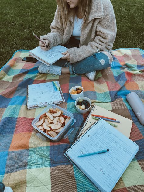 Picnic Vision Board, Christian Date Ideas Aesthetic, Christian Dates Aesthetic, Study Dates Aesthetic, Studying Together Couple, Study Dates With Friends Aesthetic, College Dating Aesthetic, Dating In College Aesthetic, Christian Picnic Aesthetic