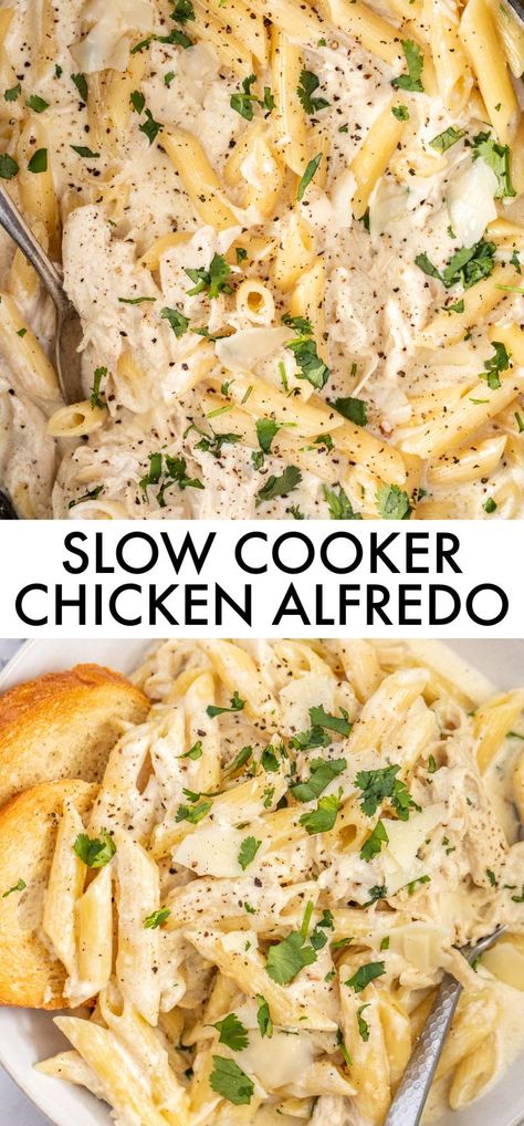 Slow Cooker Chicken Alfredo, Best Crockpot Chicken, Crockpot Chicken Alfredo, Crockpot Pasta Recipes, Best Crockpot, Chicken Crockpot Recipes Easy, Easy Crockpot Dinners, Chicken Alfredo Recipes, Crockpot Dishes