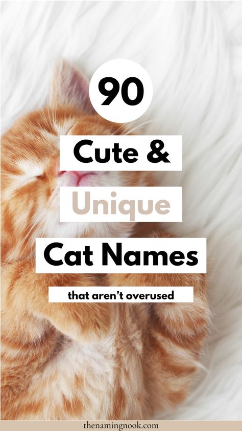 90 Cute & Unique Cat Names That Aren’t Overused. Click through for cool and unusual cat and kitten names. Boy cat names, girl cat names, cat name aesthetic Male Cat Names Unique, Kitten Names Boy, Cute Kitten Names, Kitten Names Unique, Names For Male Cats, Kitten Names Girl, Grey Cat Names, Calico Cat Names, Tabby Cat Names