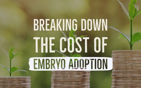 Breaking Down the Cost of Embryo Adoption and Donation | Embryo Adoption Awareness Center Embryo Adoption Announcement, Increase Chances Of Twins, Embryo Donation, Frozen Embryo Transfer, Embryo Adoption, Study Process, Fertility Help, Adoption Awareness, Adoption Announcement