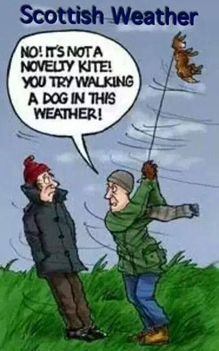 Windy Day Humor, Dog Walking Quotes, Savage Chickens, Walking Quotes, Dogs Walking, Weather Memes, Funny Weather, Off The Mark, Morning Sayings