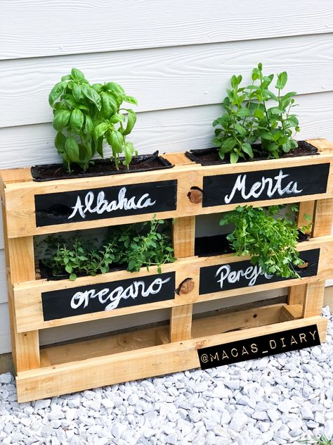 Pallet Garden Ideas Diy, Pallet Garden Ideas, Home Vegetable Garden Design, Repurpose Pallets, Herb Garden Pallet, Diy Herb Garden, Diy Raised Garden, Garden Decor Diy, Recycled Pallet