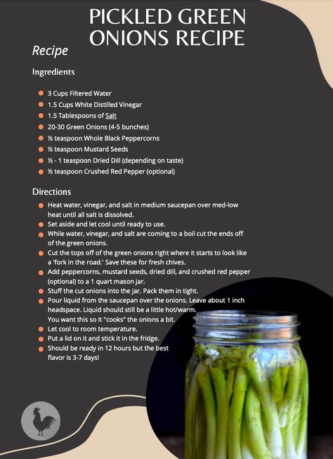 Pickled Green onions Recipe - The Easy Homestead Pickling Vinegar Recipe, Pickled Green Onions Recipe, Pickled White Onions, Fermented Pickles Recipe, Canned Green Bean Recipes, Pickle Onions Recipe, Green Onions Recipes, Dehydrating Food Storage, Easy Pickling Recipes