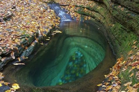 11 Places In Virginia You Thought Only Existed In Your Imagination (9. The Devil's Bathtub) Devils Bathtub, Travel Virginia, Virginia Vacation, Virginia Travel, Virginia Is For Lovers, Vacation Places, Beautiful Places To Visit, Weekend Trips, Amazing Nature