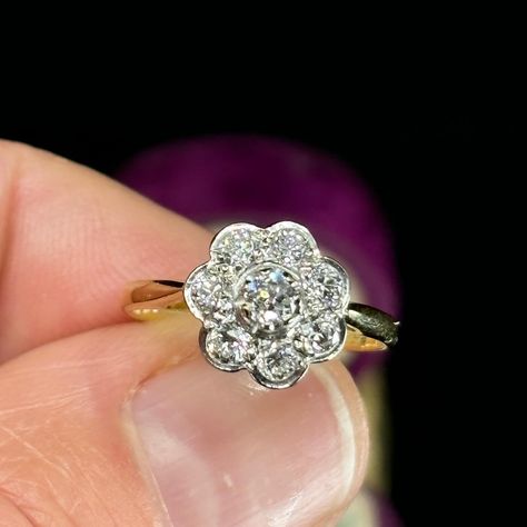 The proportions on this Diamond Daisy cluster ring are just right. These styles of ring can definitely be used as engagement rings, but we think they make beautiful pinky rings 👌🏽💫 This Daisy cluster ring is from circa 1925, and it’s set with 8 beautiful Old European cut Diamonds totalling 0.63ct and graded G/Vs-Si. The Diamond cluster is set in 18K white gold, the tapered band is in 18K yellow gold. This is such an unassumingly beautiful ring! DM us for enquiries 🌼 * Please note items... Pinky Rings, Daisy Ring, Engagement Ring Cuts, European Cut Diamonds, Pinky Ring, Beautiful Ring, Diamond Cluster, Cluster Ring, Beautiful Rings