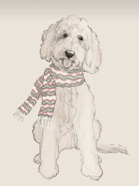 Goldendoodle Drawing, Labradoodle Drawing, Labradoodle Art, Goldendoodle Art, Dog Sketch, Animal Doodles, 강아지 그림, Golden Doodle, Doodle Dog