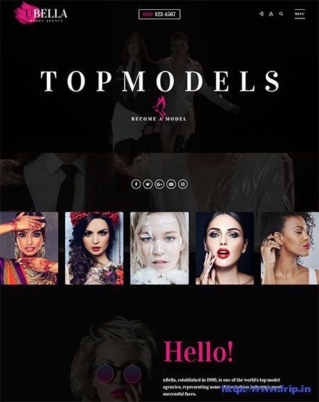 15 Best Model Agency WordPress Theme 2021 - Frip.in 2024 Manifestation, Unique Website Design, Theme List, Fashion Agency, Ui Design Website, Fashion Layout, Modeling Agency, Agency Website, Fashion Themes