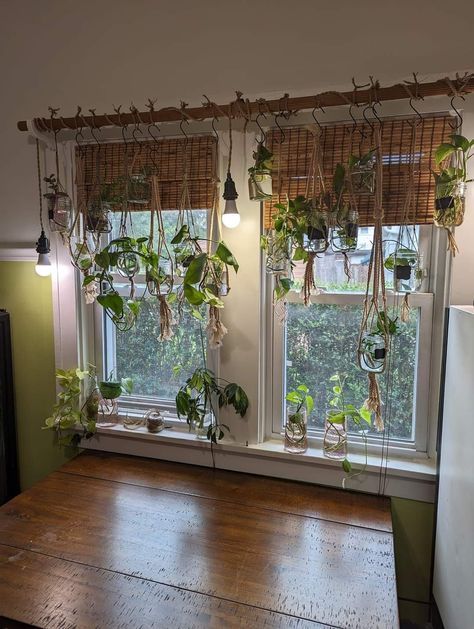 Patio Curtain Ideas, Plant Window, Planter Project, Plants Pots, Window Plants, Patio Curtains, Diy Concrete, Plant Decor Indoor, Indoor Patio