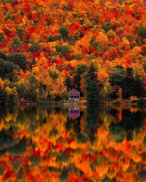 🍁 Here’s your sign to hike the trails in the New England region during the fall. Choose any trail from @alltrails and simply explore.… | Instagram Vermont Foliage, Vermont Fall, England Aesthetic, Autumn Scenery, Beautiful Locations Nature, Fall Travel, Fall Pictures, Autumn Cozy, Autumn Aesthetic