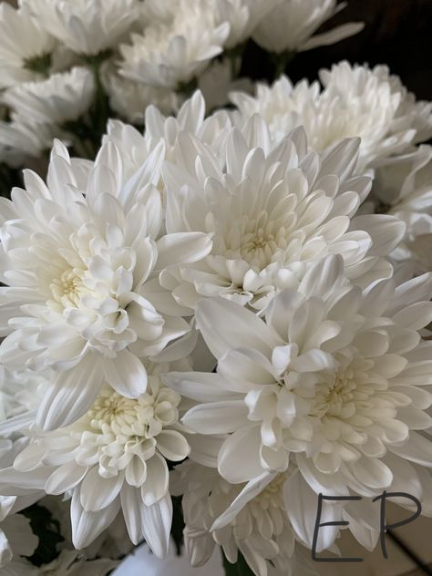 Beautiful Bouquet Crochet White Bouquet, White Cushion Pom Flower, Beautiful Bouquet, White Flowers, Pom Pom, Coconut, Flowers, Plants